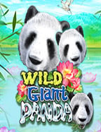 เคล็ดลับชนะ สูตร บา คา ร่าโหลด เกมส์ slotxo ให้ได้ผลจริง